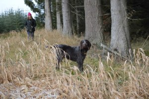 liz and dougal 28 Dec