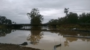 Scrubby creek after 2