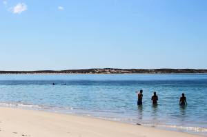 Shark Bay 3