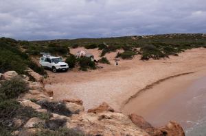 Shark Bay 4
