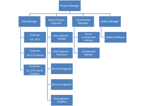 Project Team Org Chart