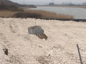 Another settlement rod who had a near miss with the same roller, good job it was protected