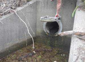 Flapgate outlet, minding out for snakes!