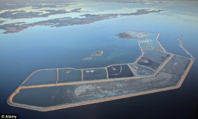 article-2168282-13E8DB38000005DC-942_634x385